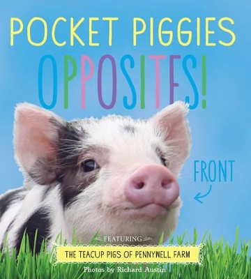 Book cover for Pocket Piggies Opposites!