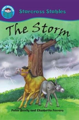 Cover of The Storm