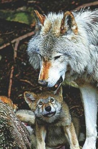 Cover of Mom & Baby Wolves