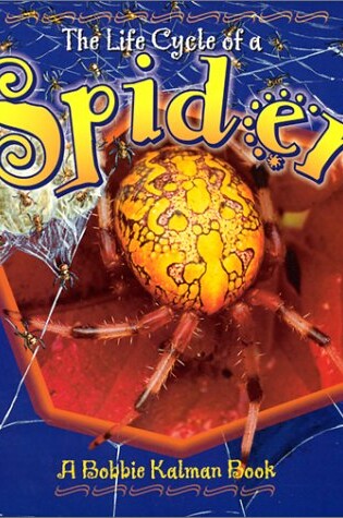 Cover of The Life Cycle of the Spider