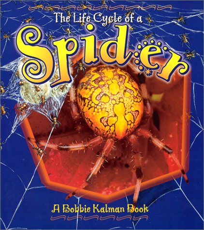 Book cover for The Life Cycle of the Spider