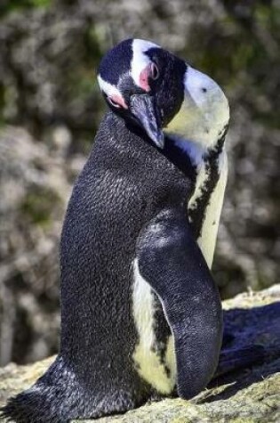 Cover of Say Hello to the African Penguin Journal