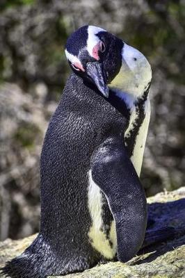 Book cover for Say Hello to the African Penguin Journal