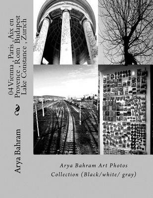 Book cover for 04 Vienna, Paris, Aix en Provence, Rom Budapest, Lake Constance, Zurich