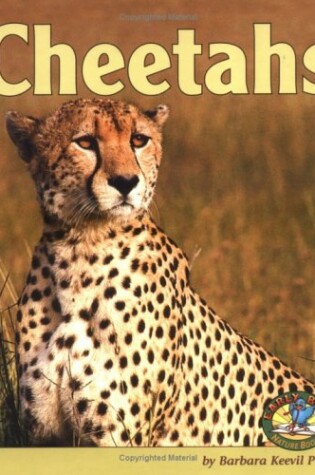 Cover of Cheetahs