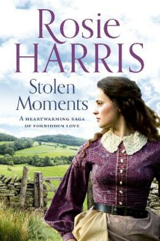 Cover of Stolen Moments