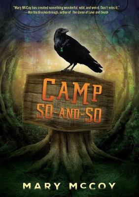Book cover for Camp So-And-So