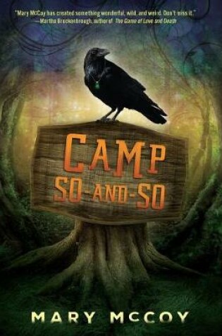 Cover of Camp So-And-So