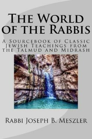 Cover of The World of the Rabbis