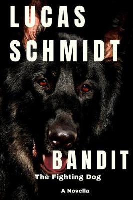 Book cover for Bandit