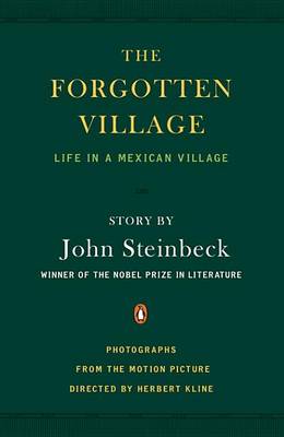 Book cover for The Forgotten Village