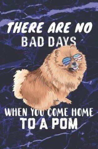 Cover of There Are No Bad Days When You Come Home to a POM