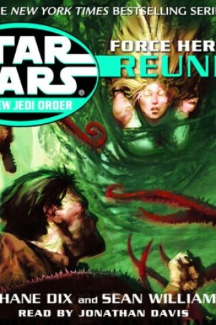 Cover of Star Wars New Jedi Order