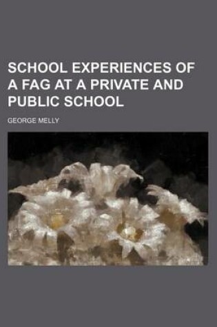 Cover of School Experiences of a Fag at a Private and Public School