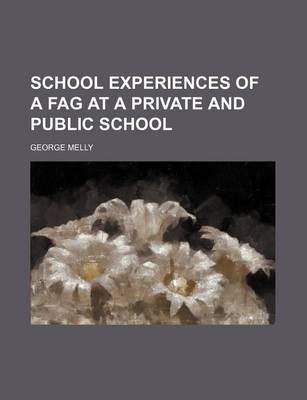 Book cover for School Experiences of a Fag at a Private and Public School