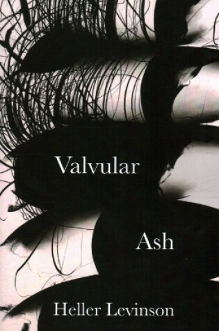 Cover of Valvular Ash