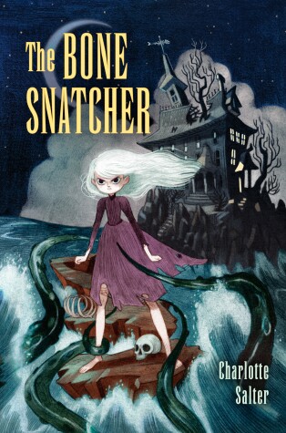 Book cover for The Bone Snatcher