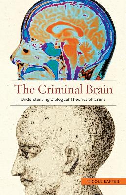 Book cover for The Criminal Brain