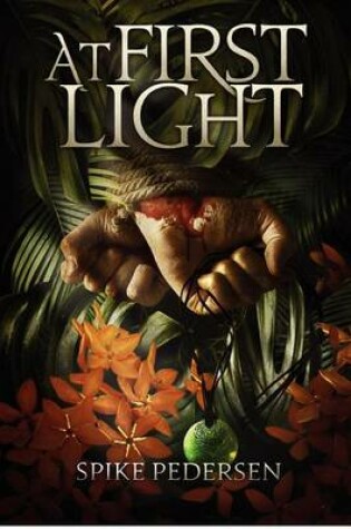 Cover of At First Light