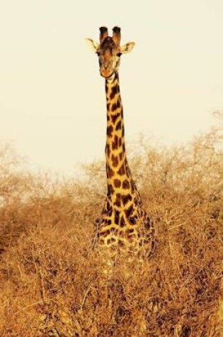 Cover of Giraffe in Tsavo East National Park Kenya Africa Wildlife Journal