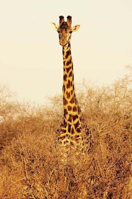 Book cover for Giraffe in Tsavo East National Park Kenya Africa Wildlife Journal