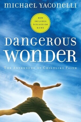 Cover of Dangerous Wonder YS