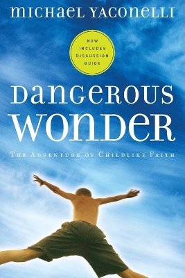 Book cover for Dangerous Wonder YS