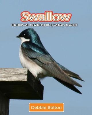 Book cover for Swallow