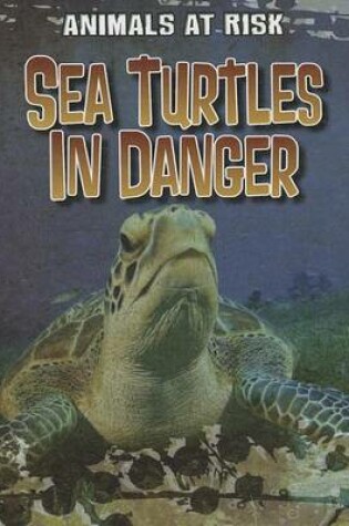 Cover of Sea Turtles in Danger
