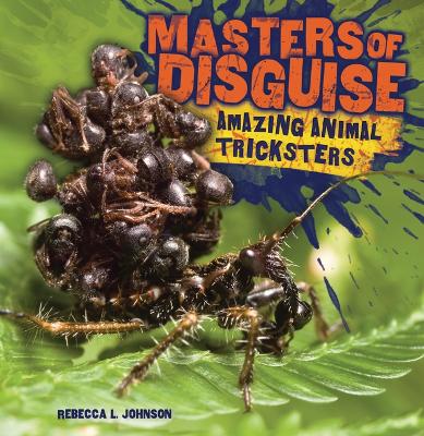 Book cover for Masters of Disguise