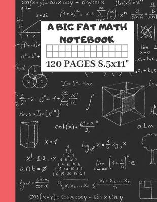 Book cover for A Big Fat Math Notebook
