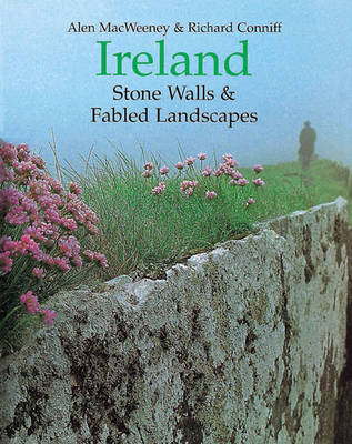 Book cover for Ireland