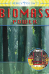 Book cover for Biomass Power