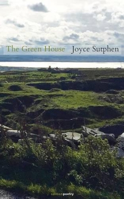 Book cover for The Green House