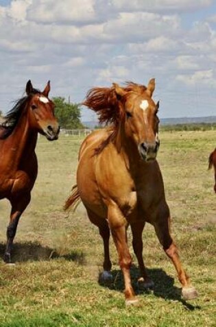 Cover of Horses on the Run in the Pasture