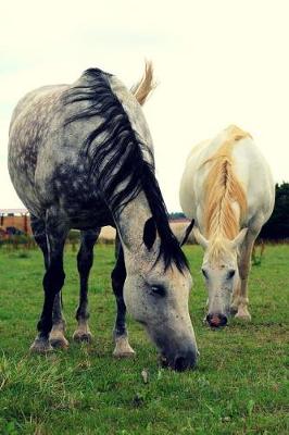 Book cover for I Love Horses