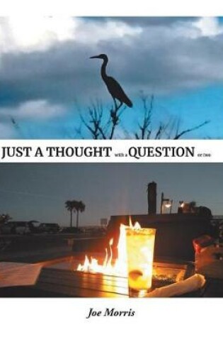 Cover of Just a Thought with a Question or Two