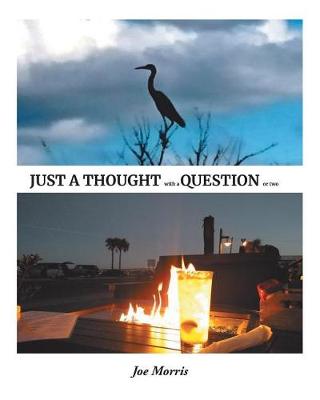 Book cover for Just a Thought with a Question or Two