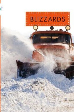 Cover of Blizzards