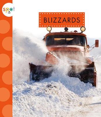 Book cover for Blizzards