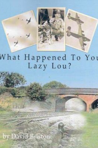 Cover of What Happened to You Lazy Lou?