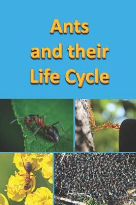 Book cover for Ants and their Life Cycle