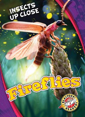 Book cover for Fireflies