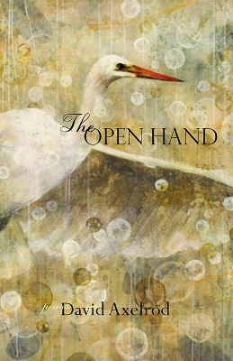 Book cover for The Open Hand