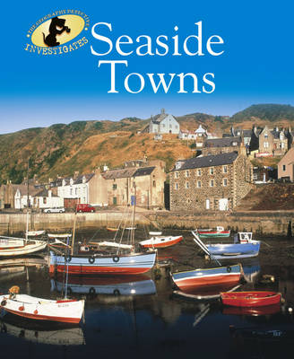 Cover of Seaside Towns