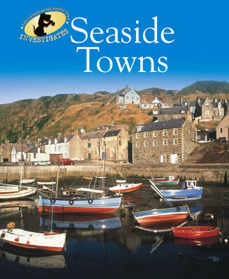 Book cover for Seaside Towns