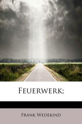 Cover of Feuerwerk;