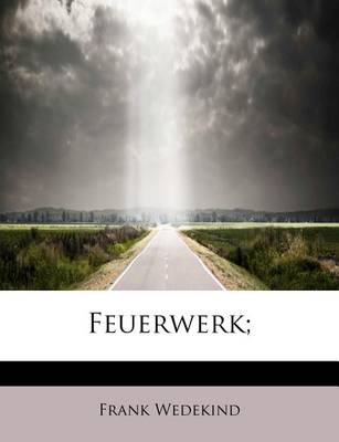 Book cover for Feuerwerk;
