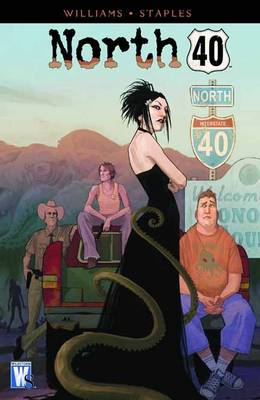 Book cover for North 40