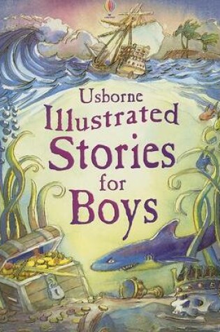 Cover of Illustrated Stories for Boys